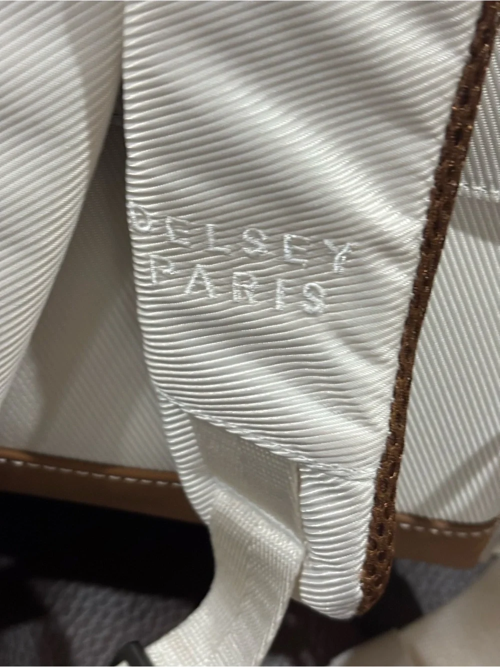 DELSEY Paris Men's Cream & Tan Travel Backpack